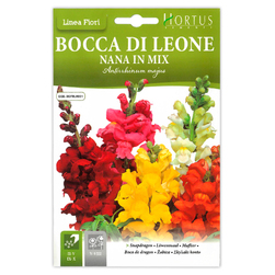 Image-product