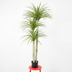 Image-product