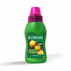 Image-product