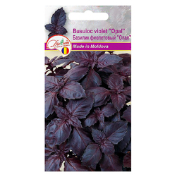 Image-product