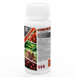 Image-product