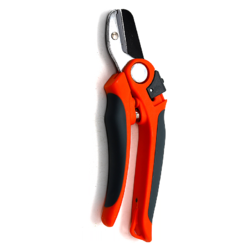 Image-product
