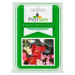 Image-product
