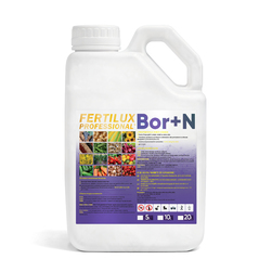 Image-product