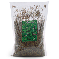 Image-product