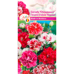 Image-product
