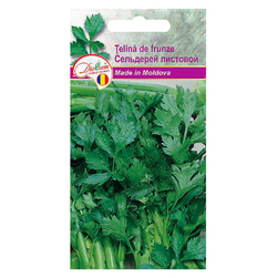 Image-product