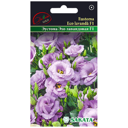 Image-product