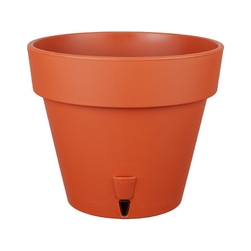 Image-product