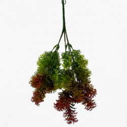 Image-product
