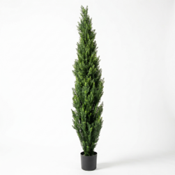 Image-product