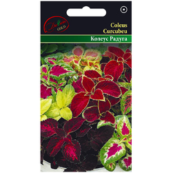 Image-product