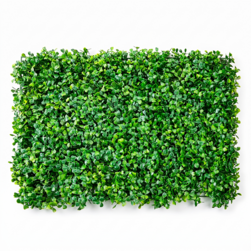 Image-product