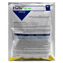 Image-product