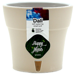 Image-product