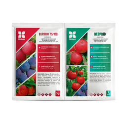 Image-product