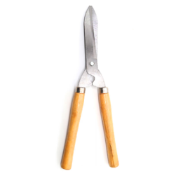 Image-product