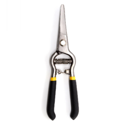 Image-product