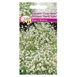 Image-product