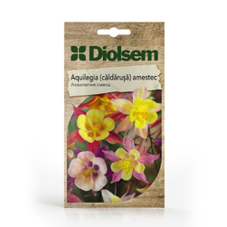 Image-product