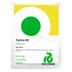 Image-product