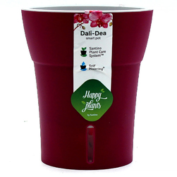 Image-product