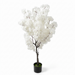 Image-product