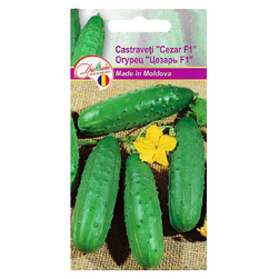 Image-product