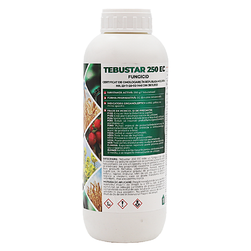 Image-product