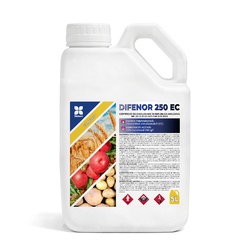 Image-product