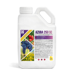 Image-product
