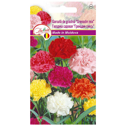 Image-product