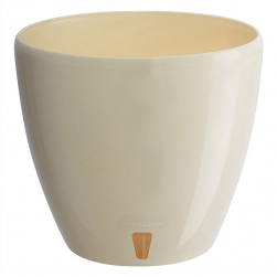 Image-product