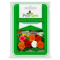 Image-product