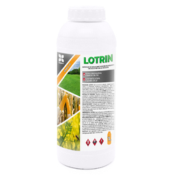Image-product