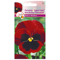 Image-product