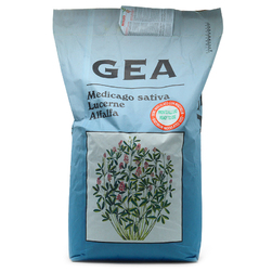 Image-product