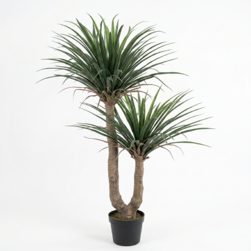 Image-product