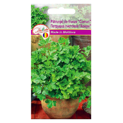 Image-product