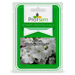 Image-product