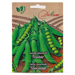 Image-product
