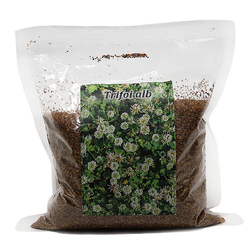Image-product