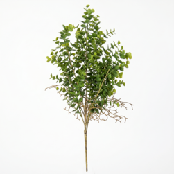 Image-product
