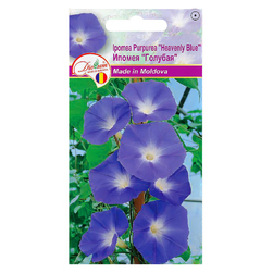 Image-product