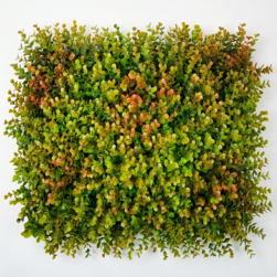 Image-product