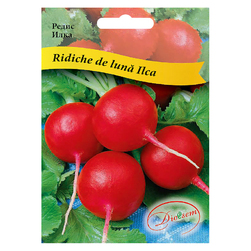Image-product