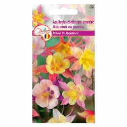 Image-product