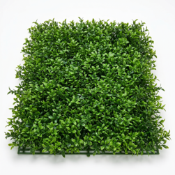 Image-product