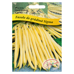 Image-product
