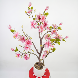 Image-product